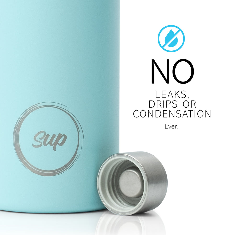 Insulated Wine Bottle 